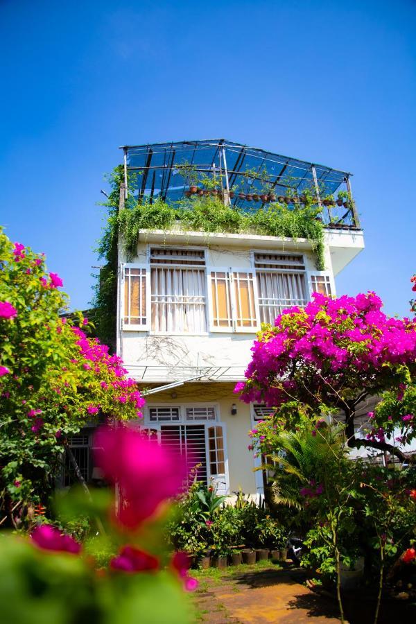 Skybird Homestay Hoi An Dış mekan fotoğraf